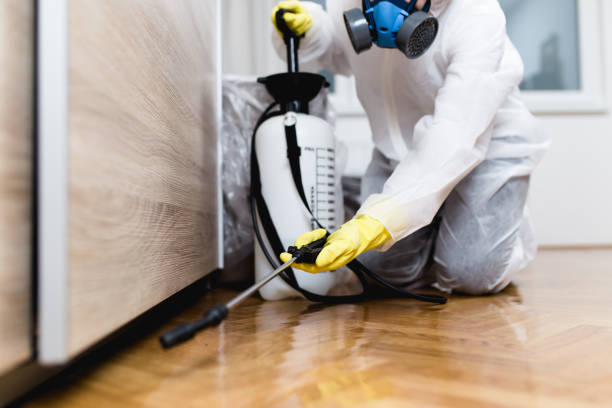 Best Bed Bug Extermination  in Forney, TX