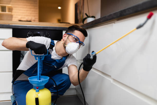 Best Best Pest Control Companies  in Forney, TX