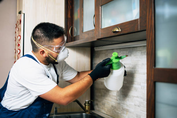 Best Rat Extermination Near Me  in Forney, TX