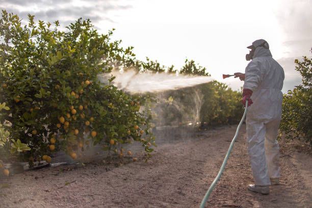 Pest Prevention Services in Forney, TX