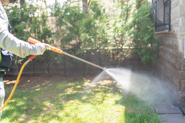 Best Exterminator Services  in Forney, TX
