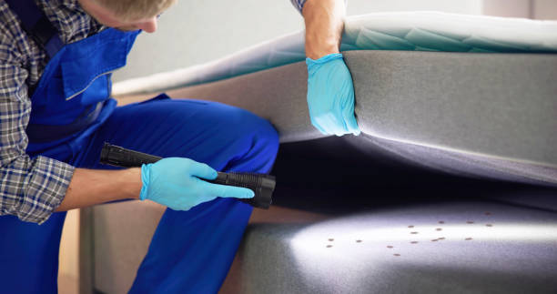 Best Mosquito Control Services  in Forney, TX