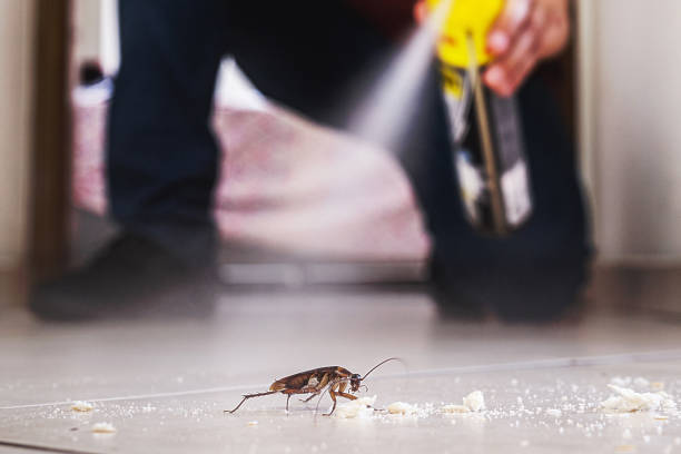 Pest Prevention Services in Forney, TX