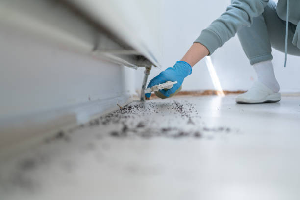 Best Affordable Pest Control Services  in Forney, TX