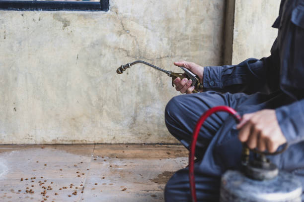Best Flea Control Services  in Forney, TX